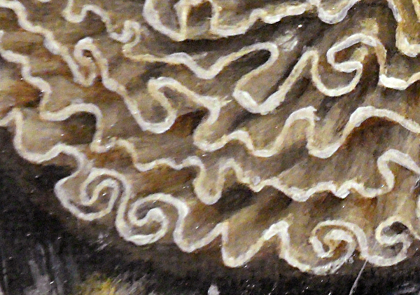 Close-up of the curly edges of the soft, fine fabric that go to make up the seven layers of the head dress. Copyright (c)2016 Paul Alan Grosse