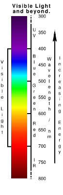 The visible spectrum, showing the bands of light eityher side that we are unable to see with out own eyes. Copyright (c)2020 Paul Alan Grosse