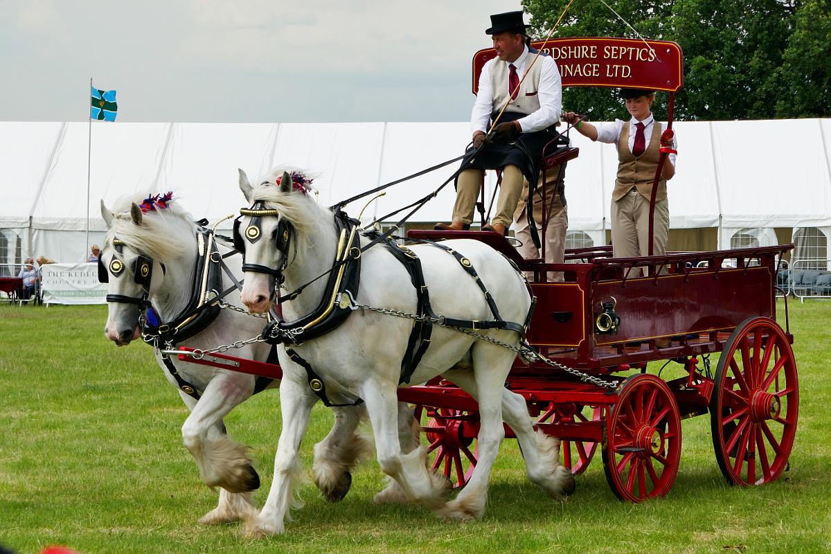 Elvaston Derbyshire: County Show - Winner of the Commercial Vehicle pulled by a horse category. Copyright (c)2023 Paul Alan Grosse. All Rights Reserved.