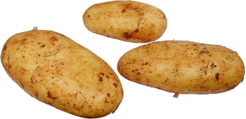 Not new potatoes but if you are going to mash them, cook them with the skins on.