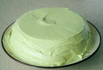 Spread the icing evenly over the top and down the sides so that it is all covered.